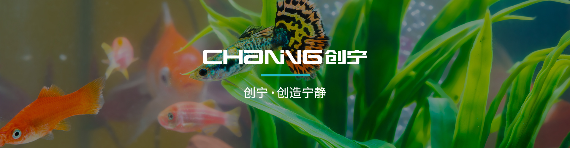 在線(xiàn)留言